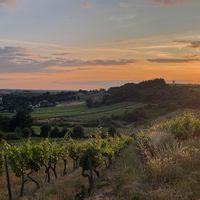 Maison ancienne entièrement rénovée à Angers a 5 min à pied du centre historique.