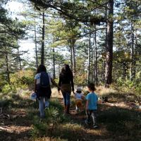 villa charmant en Provence  普羅旺斯美麗小別墅