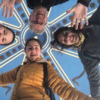 Le domaine des chats