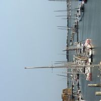 Appartement 4 chambres, proche de toutes commandités.