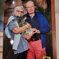 Studio avec vue dégagée canapé lit de 160  , cuisine équipée séparée , sdb avec douche , terrasse .