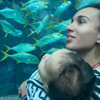 La maison au bord de l'Oise, à 10 minutes de Compiègne, 25 minutes de Pierrefonds, 1 heure de Paris