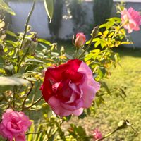 Provence Expérience ☀️