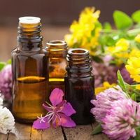 Le calme d'un village en pleine nature. Randonnées, Culture et Histoire à deux pas.