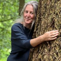 InselZeit – un espace pour arriver, demeurer et simplement être