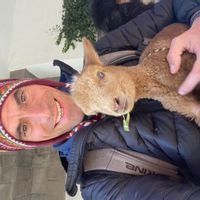 Petit appartement sympathique, lumineux, fonctionnel. Parfait pour quelques jours à Genève.