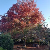 Le havre de paix de Céline et Vincent