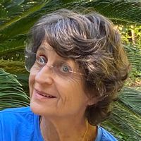 La maison de Josette sur 2 ha de jardin, vue sur les Alpilles , une belle piscine, de grands arbres