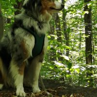 Maison dans les Laurentides de Annie