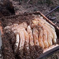 La maison de massimiliano