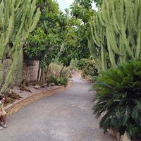 La maison de T.Felisa