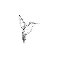 Bienvenu dans notre havre de paix