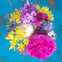 Maison en bois à la campagne entre Périgord et Charente.