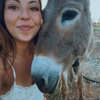 Le petit Nid de Sarah à Paris