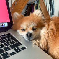 ma maison de campagne