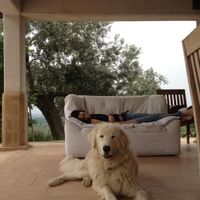 Casa de eleonora