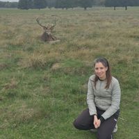 Appartement Marylebone