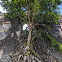 Maison située dans le coude d'une rivière sous les arbres fruitiers