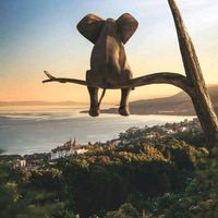 Le Nichoir de Sylvie