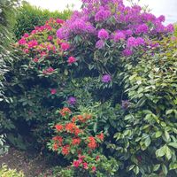 MAISON AU CALME SUR LA COTE NORMANDE PROCHE MER ET GOLF