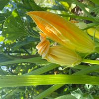 Chambre privée proche du marché de Noël