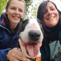 Maison paisible en Camargue