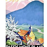 La soldanelle des Alpes - Pays du Mont-Blanc