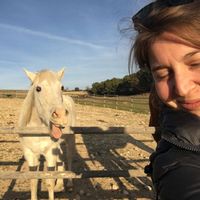 Chambre privée près des Buttes Chaumont