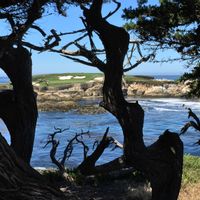 La maison de Douglas