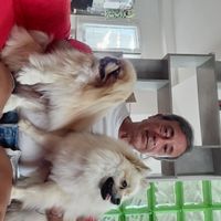 La maison de Orlando