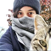 2 pièces type loft vue mer depuis toutes les fenêtres. Roof-top commun à l'immeuble avec vue 360.