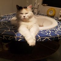 La chambre privée de Yves - Marie : bienvenue !