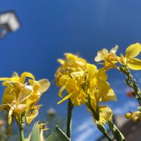 L'appartement de Laurent