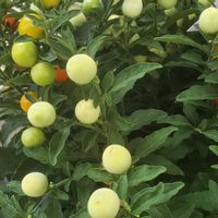 Joli appartement lumineux avec une très belle vue, un balcon plein de ciel, proche des transports
