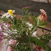 Appartement confortable à Menton pour profiter de la mer et de la vieille ville historique