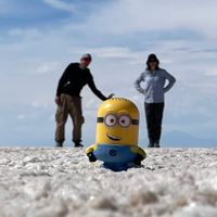 Maison moderne avec un grand jardin