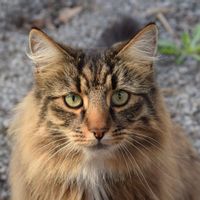 Chambre privée au calme