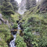 Appartement 1 chambre au Grau du Roi