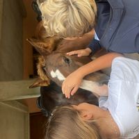 La maison de valeria