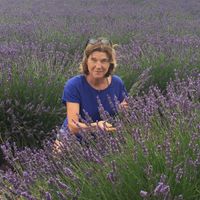 La maison de Laurence à VILLEVIEILLE est unique de part son caractère et son confort.