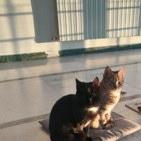 La maison de Maria de los Angeles