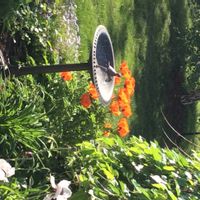 La maison de Raphaëlle