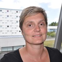 Appartement en bord de mer/apartment near the sea