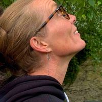 Au coeur de la ville et des arbres