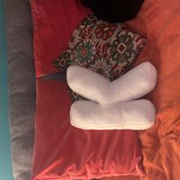 Villa Kri accogliente e luminosa, immersa nel verde a due passi dal lago offre una pace senza tempo