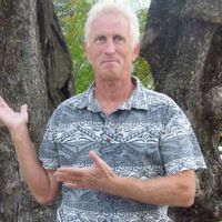 Maison de plain-pied orientée sud, sur un terrain de 815 m2 avec des oliviers centenaires et piscine