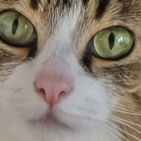 La chambre de la petite maison