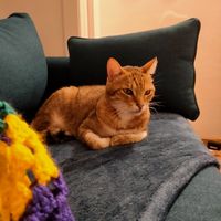 Cocon lillois - lumineux et central