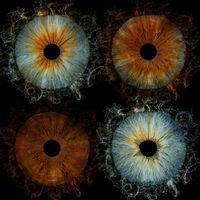 Vue mer à La Baule, bel appt idéalement situé dans une résidence face mer / accès direct à la plage