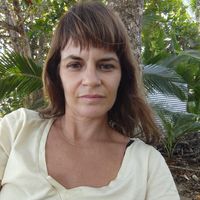 Cozy, bright hotel room next the beach and village.